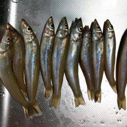 久しぶりの和歌山