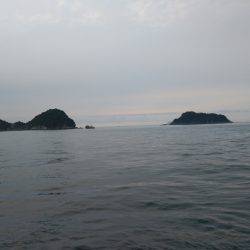 阿南市の辰巳でタチウオとツバスとシオ