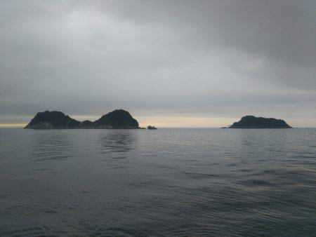 阿南市の辰巳でツバスとシオ