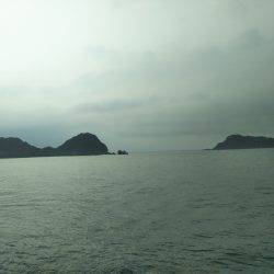 阿南市の辰巳でタチウオとマゴチ