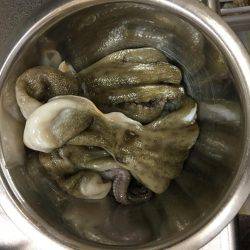 仕事終わりにオクトパッシング