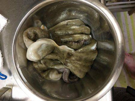 仕事終わりにオクトパッシング