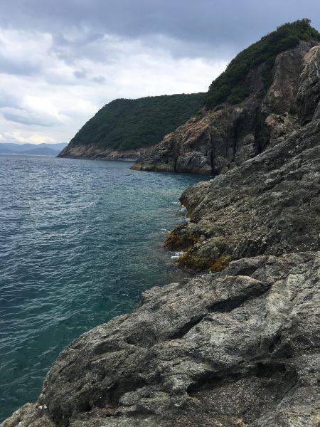 磯でライトゲーム