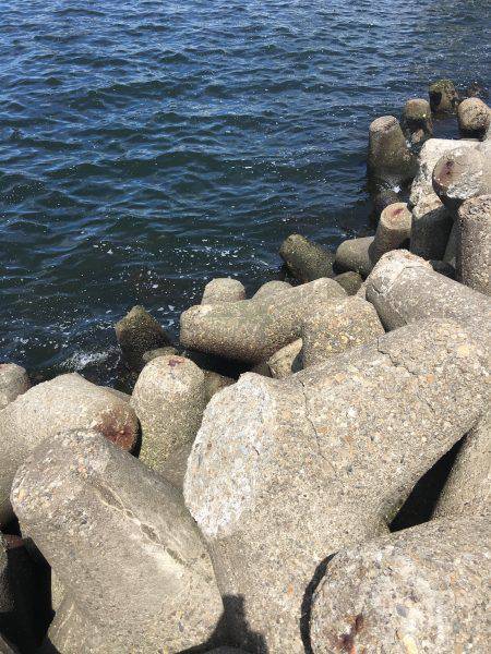 マイポイントでオクトパッシング