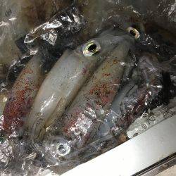 シーズンイン？