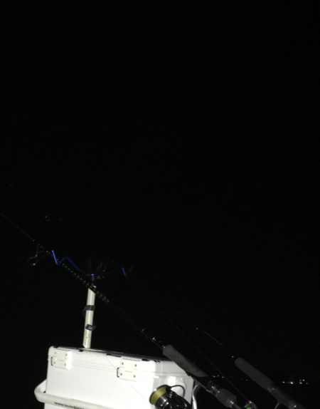 続ニョロニョロ