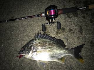 チニングリベンジ釣行