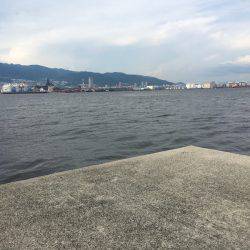 ライトワインド in 神戸沖堤防