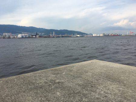 ライトワインド in 神戸沖堤防