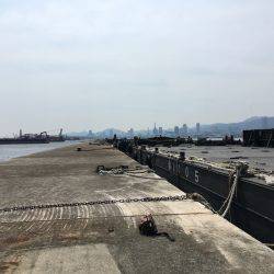 ライトワインドで三目釣り