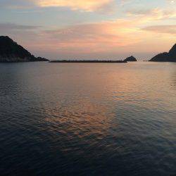 アジ釣り⑫  まさかの二度寝