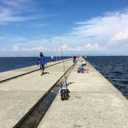 ガシラゲーム in 神戸沖堤防