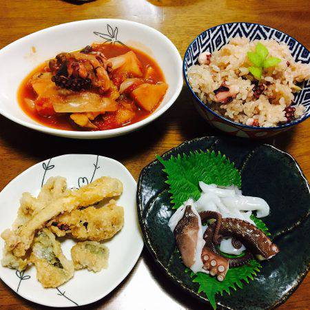 タコを求めて。