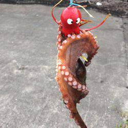 タコエギ初挑戦