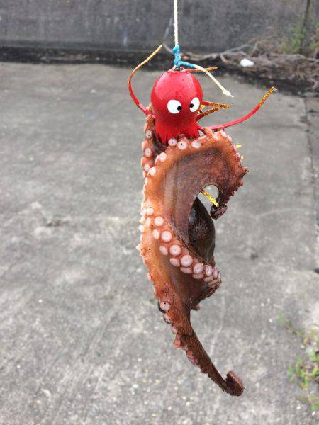 タコエギ初挑戦