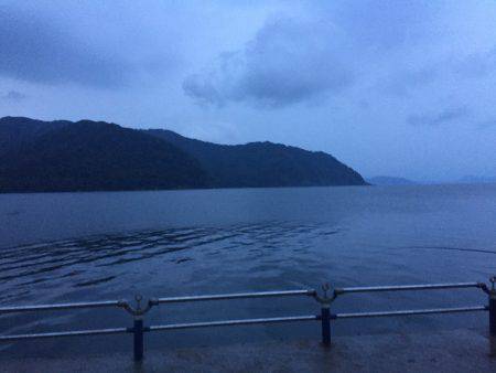 タチウオ上がってますよ〜