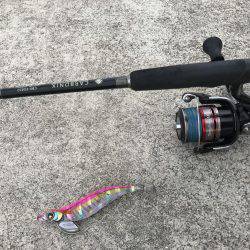 アオリ キロアップ