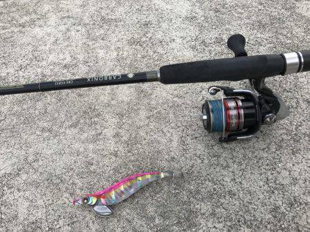 アオリ キロアップ