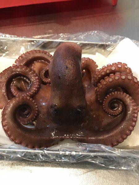 タコ、マツイカ