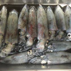 1年ぶりのお楽しみ