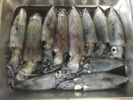 1年ぶりのお楽しみ