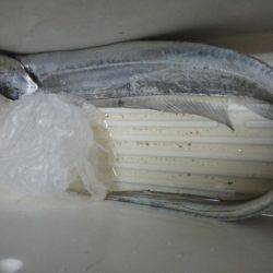 今年初の太刀魚です・・・