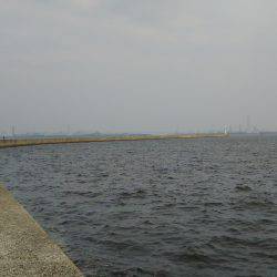 真夏の決闘～カサゴ編～