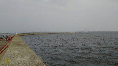 真夏の決闘～カサゴ編～