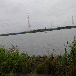 テナガエビのはずが…