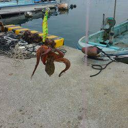 ぼくの夏休みパート3