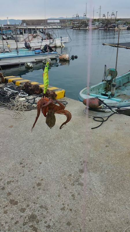 ぼくの夏休みパート3