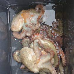 ぼくの夏休みパート5