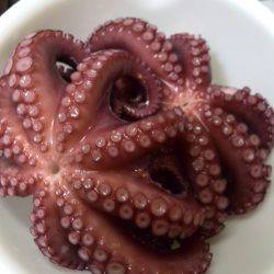 仕事帰りのタコ釣り