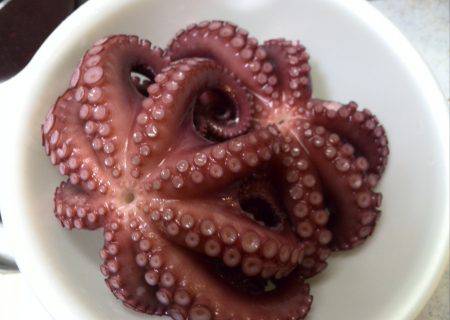 仕事帰りのタコ釣り