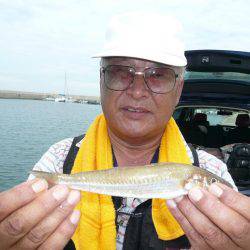 鳥飼新港のキス