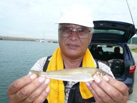 鳥飼新港のキス