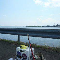 シーズン2度目の境水道釣行