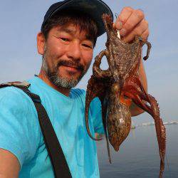 五目タコエギｄｅタコ