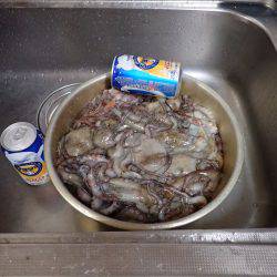 たまや渡船で沖堤防♪