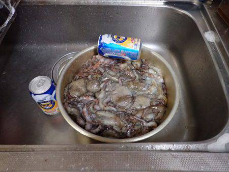 たまや渡船で沖堤防♪