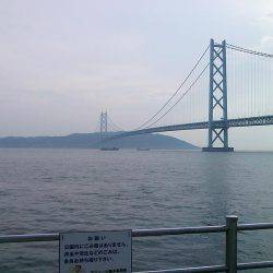 ついに大サバ3本ゲット!