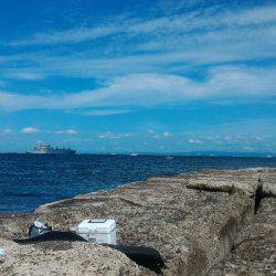 ガシラ＆メバルポンポン