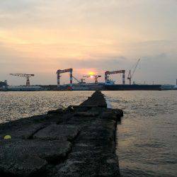 カサゴ新記録&めばるポンポン