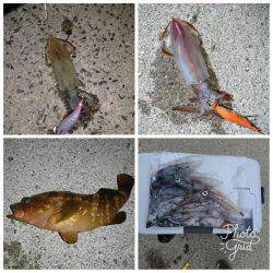 ケンサキが食べたくて