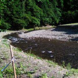 上桂川花背地区