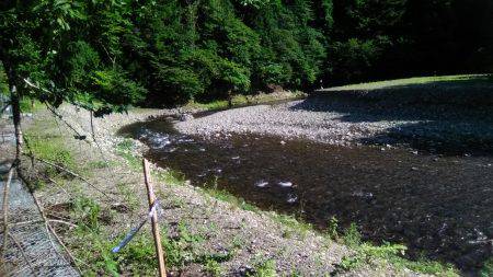 上桂川花背地区