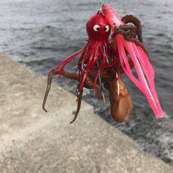 サバ祭り時々タコ