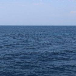 へいみつ丸 釣果