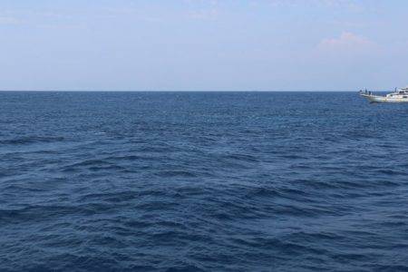 へいみつ丸 釣果