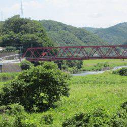 狩野川(狩野川漁業協同組合) 釣果